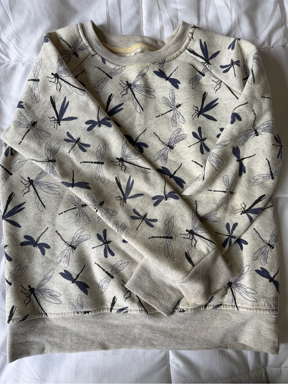 Dragonfly Print Crewneck Sweatshirt in Cream and Navy